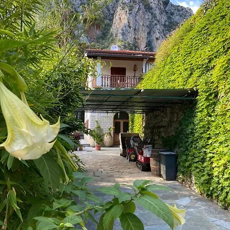 Villa Ascheri - Grimaldi, Vintimille