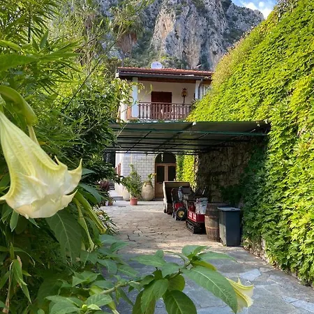 Villa Ascheri - Grimaldi, Ventimiglia