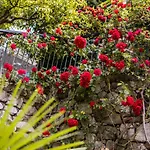 Ascheri - Grimaldi, Ventimiglia